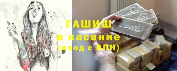 сатива Кулебаки
