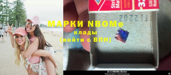 сатива Кулебаки