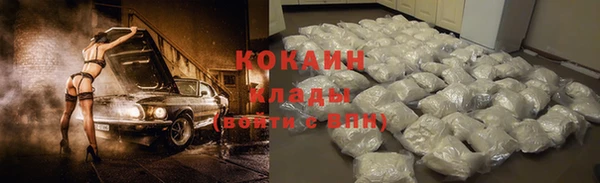 сатива Кулебаки