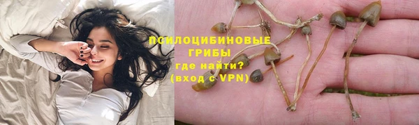 сатива Кулебаки