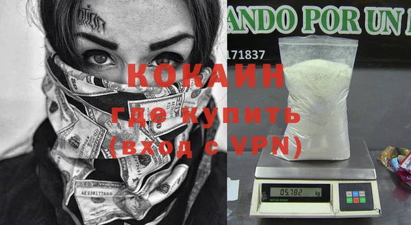 сатива Кулебаки