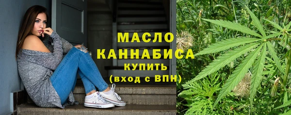 сатива Кулебаки