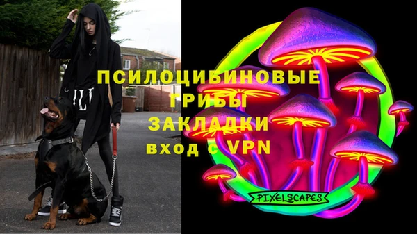 МДПВ Кукмор