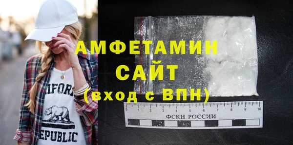 сатива Кулебаки
