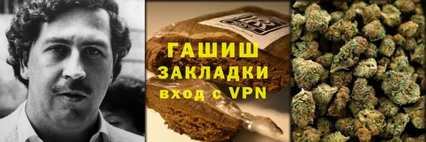 прущие грибы Яровое