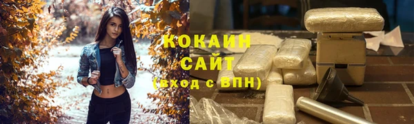 сатива Кулебаки