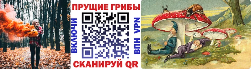 Галлюциногенные грибы MAGIC MUSHROOMS  МЕГА маркетплейс  Называевск 